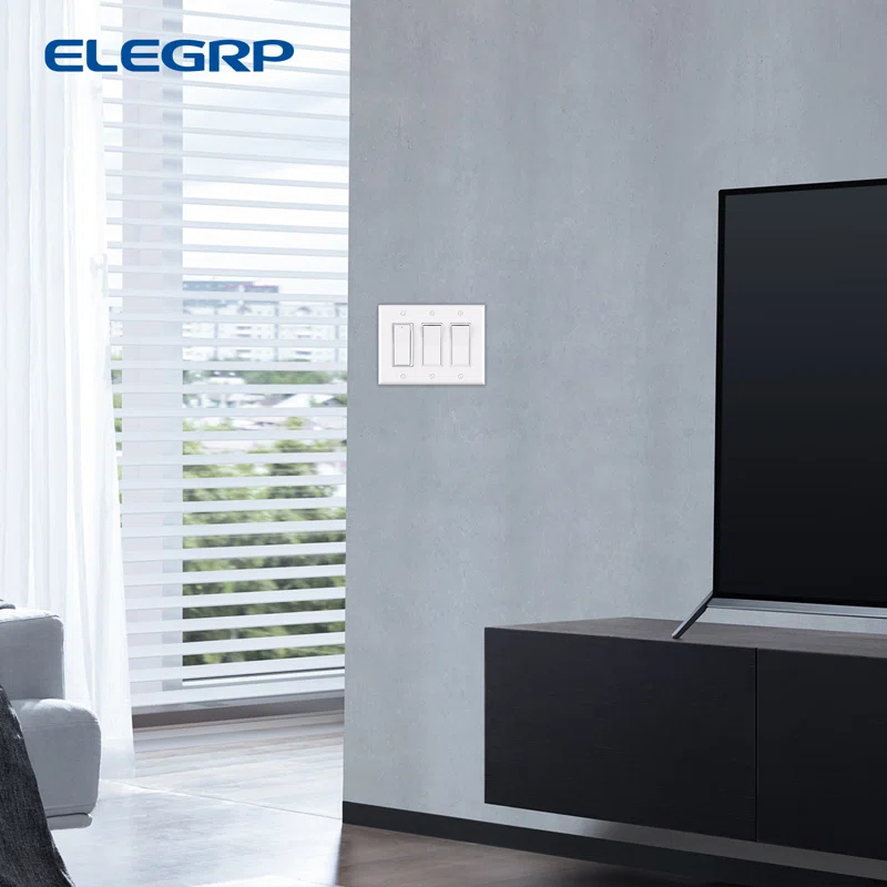 ELEGRP No Subject 3 - Gang Rocker Wall Plate