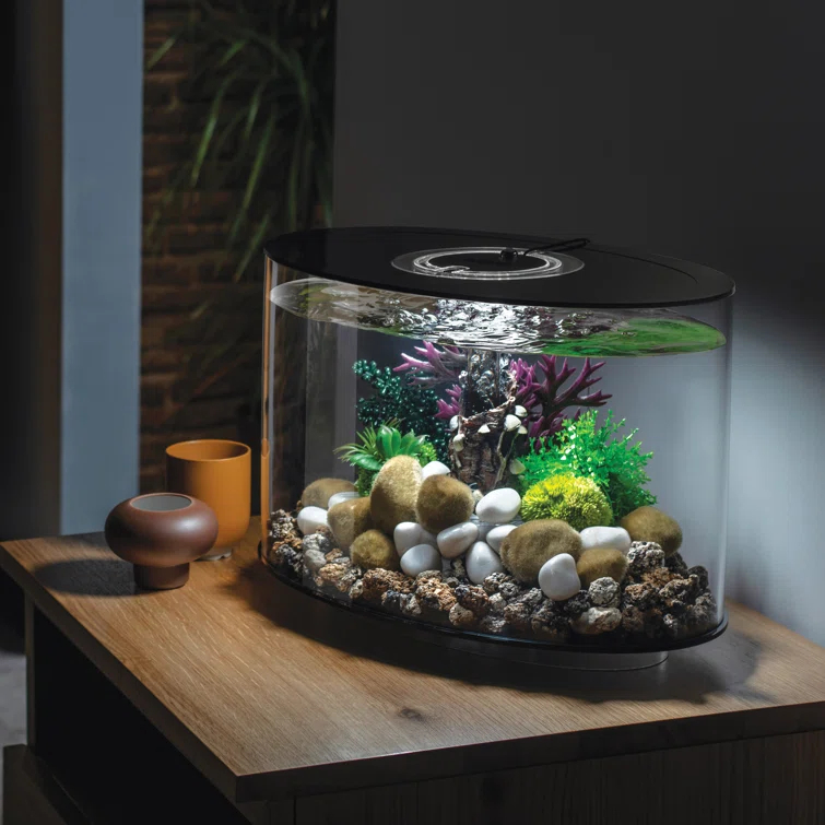 biOrb 4 Gallon Oval Aquarium Tank