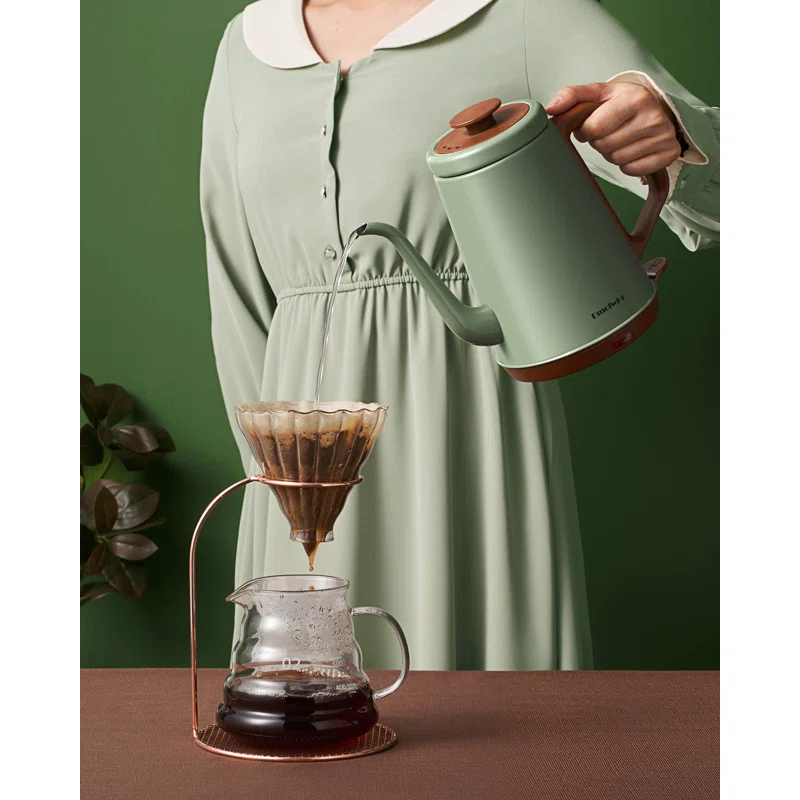 SEGUIRA SEGUIRA Stainless Steel Electric Tea Kettle