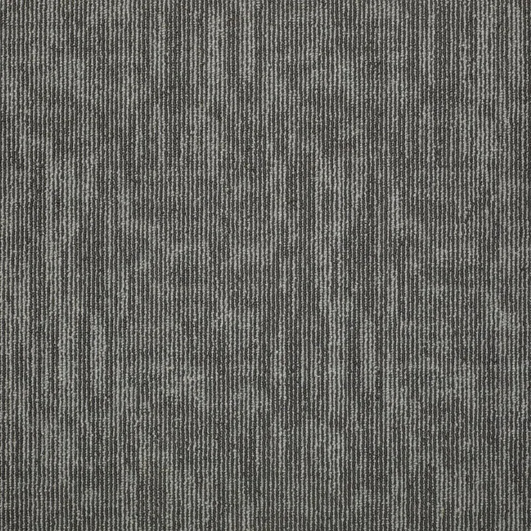 Shaw Apollo 24-in x 24-in Multi-Level Loop Adhesive Carpet Tile (48-sq ft)