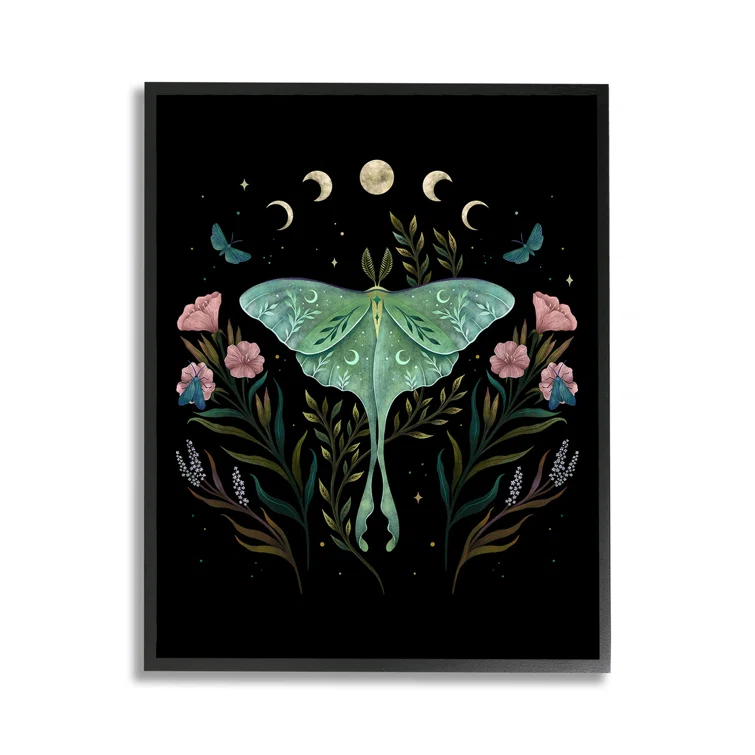 Stupell Industries Luna Moth with Florals Framed Giclee Art by Episodic Drawings