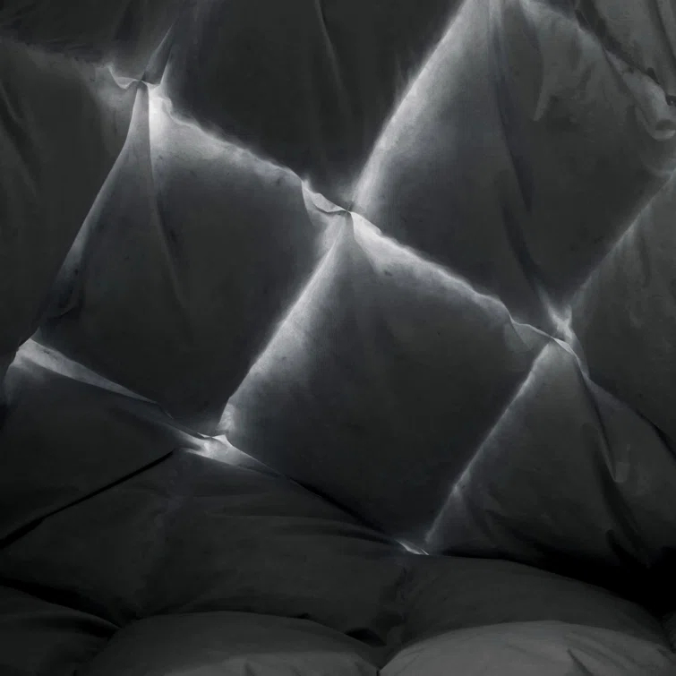 Alwyn Home 600 Fill Power All Seasons Down Comforter