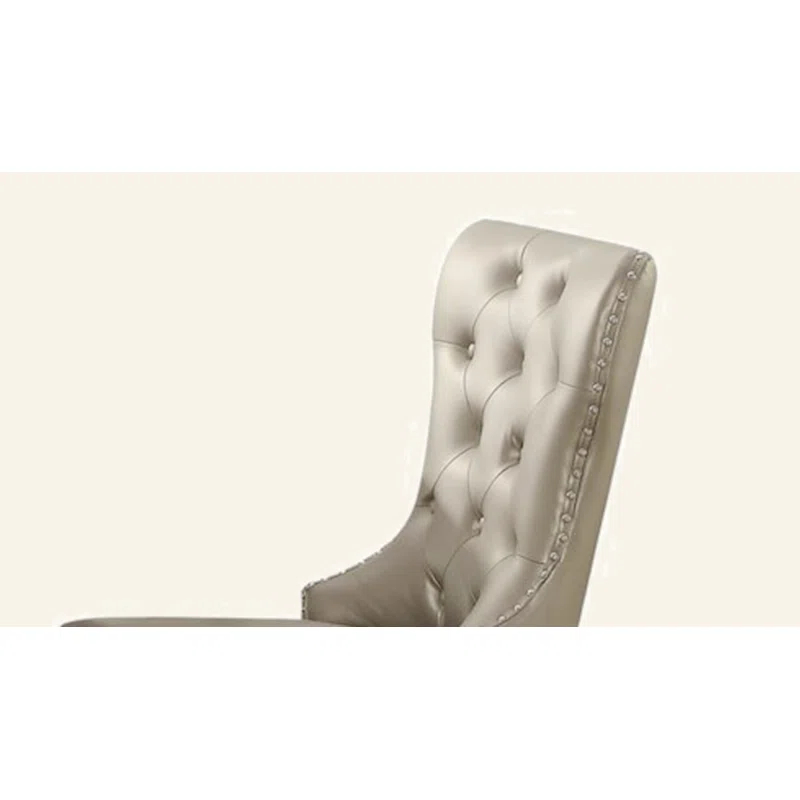 Hokku Designs Kacela Champagne Synthetic Leather & Champagne Finish Side Chair (Set Of 2)