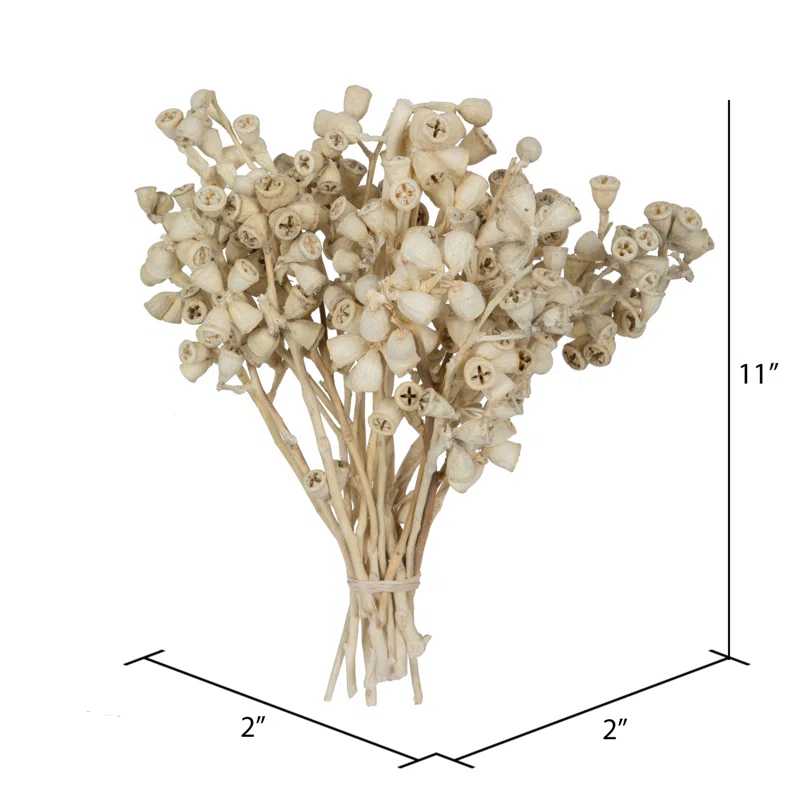 Primrue Natural Botanicals 11" x 2-4" Conical Gum Branch, 20 stems per unit