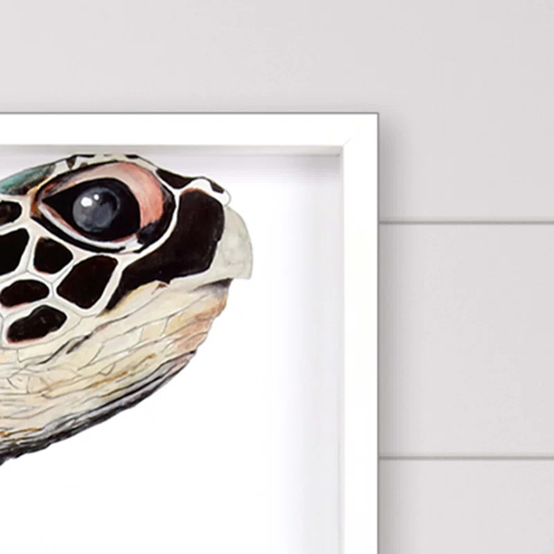 " Great Sea Turtle "