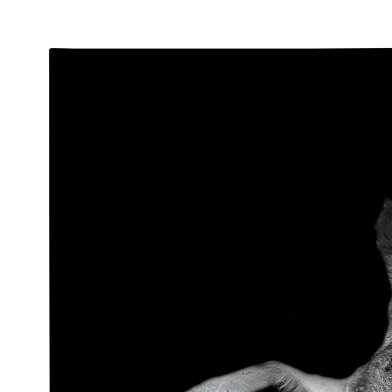 Latitude Run® " Minimalist Zebra Animal Portrait " by The Creative Bunch Studio 2 - Pieces