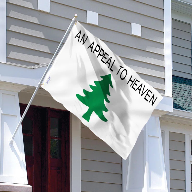 Double Sided 36'' H x 60'' W Polyester House Flag