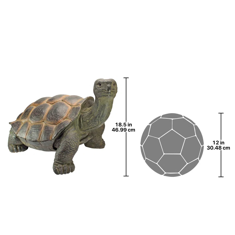 Design Toscano The Cagey Tortoise Statue