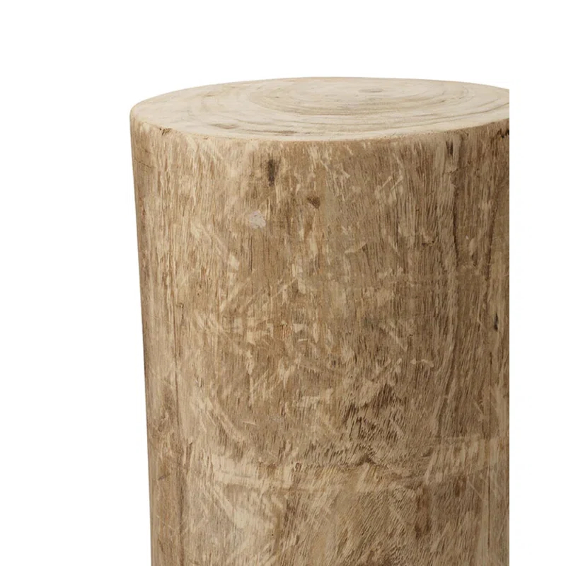 Jamie Young Company Agave Solid Wood End Table