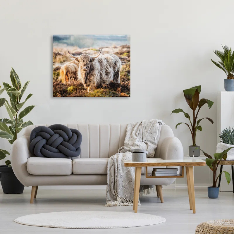 Stupell Industries " Pleasant Highland Cattle Grazing Mossy Pasture At Dawn " by James Dobson