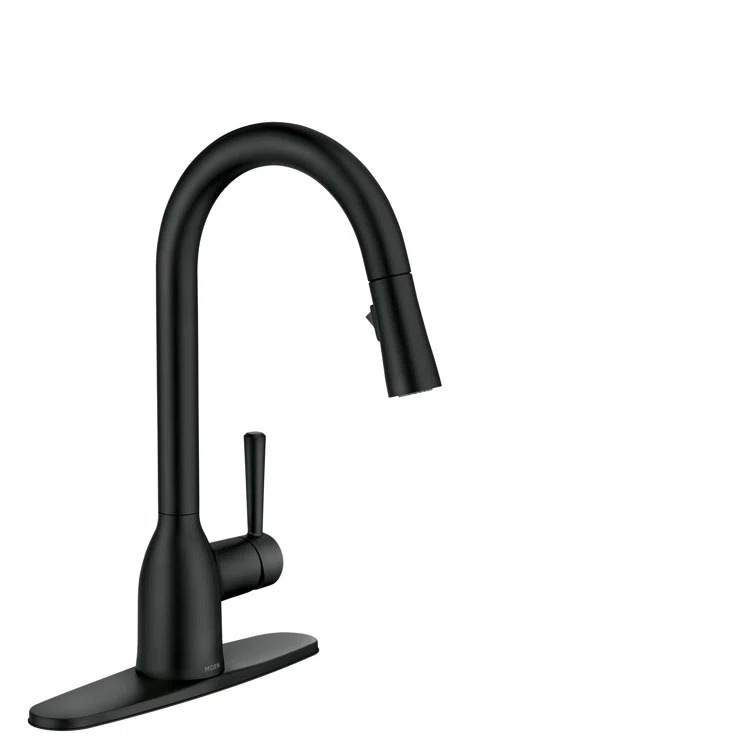 Moen Adler Pull Down Single Handle Kitchen Faucet with Accessories 87233BL