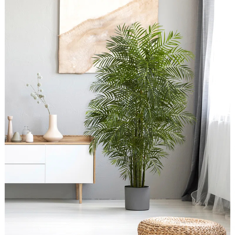 Birch Lane™ Palmier d'Areca Daphné 7,5 pieds résistant aux UV (intérieur/extérieur)
