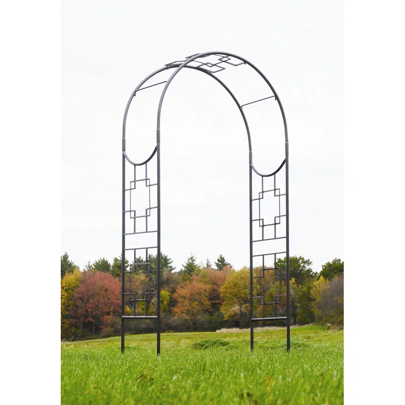 Paola Arbor