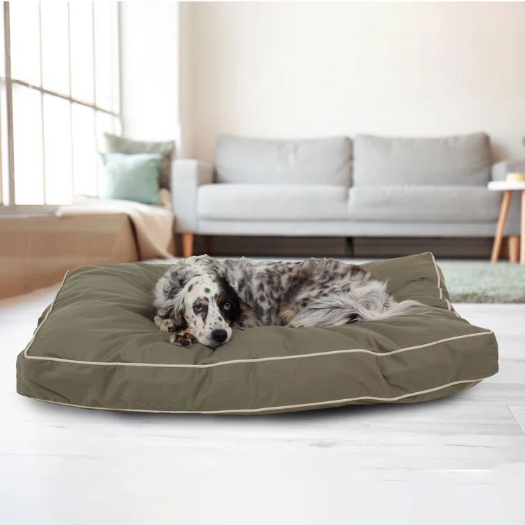 Carolina Pet Company Classic Twill Rectangular Pet Bed with Khaki Cording & Reviews | Perigold