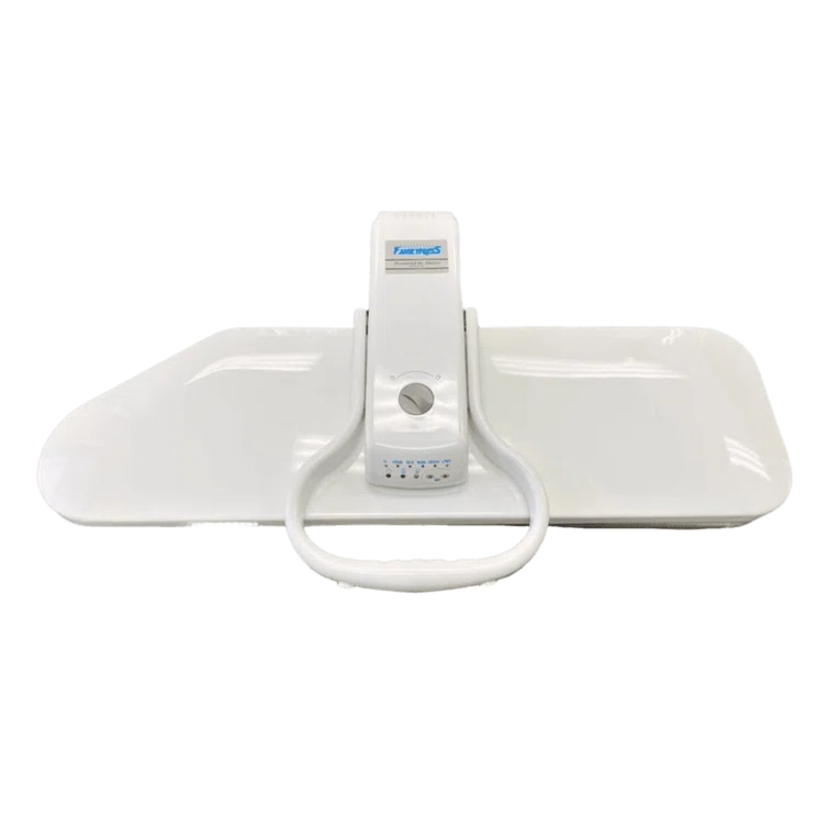 China Feiyue China Feiyue Family 1600 Watt Non Stick Soleplate Iron