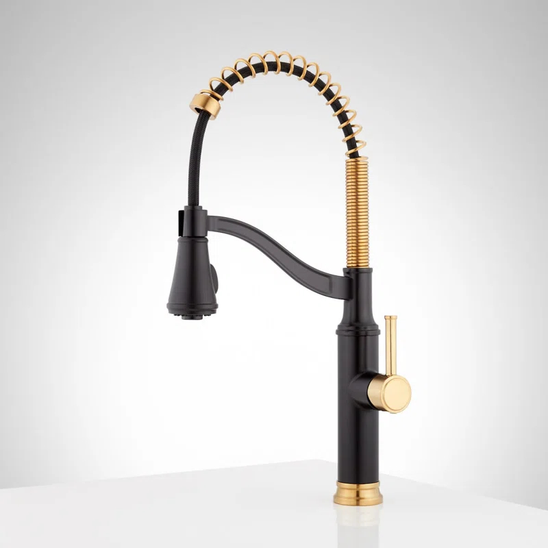 Signature Hardware SHXCCB107MBBG Pull Down Single Handle Kitchen Faucet with Accessories