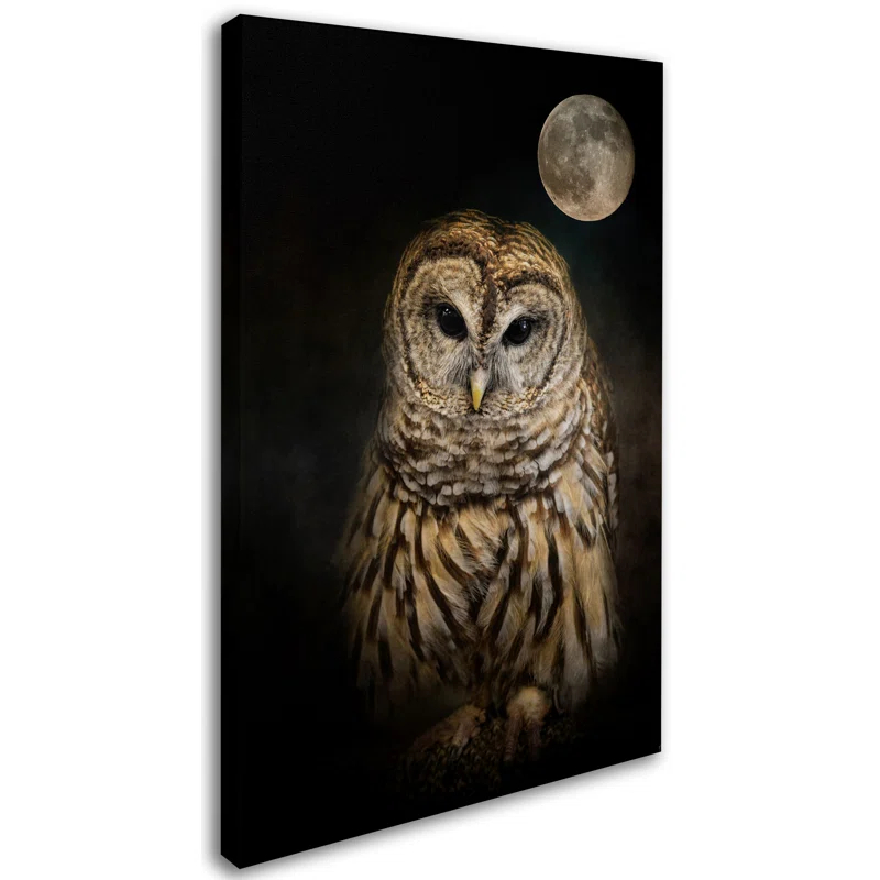Trademark Fine Art Jai Johnson " Barred Owl And The Moon " by Jai Johnson