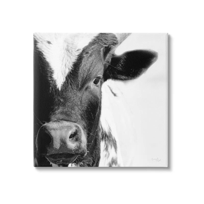 " Rural Farm Cow Stunning Up Close " by Jennifer Pugh
