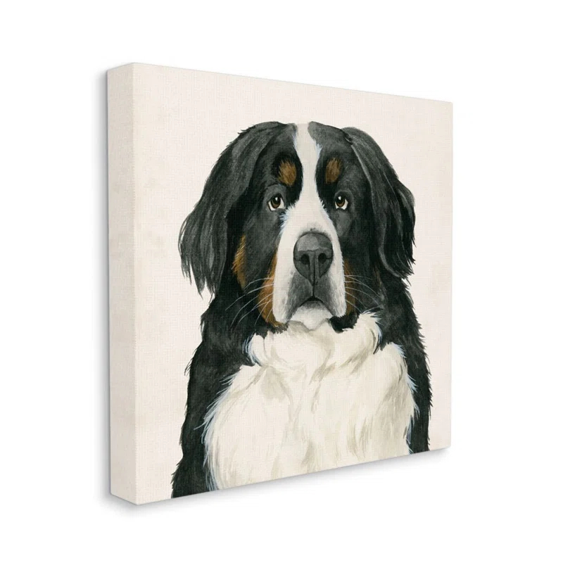 Stupell Industries " Bernese Mountain Dog Portrait " by Grace Popp
