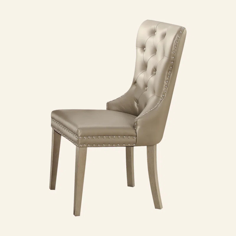 Hokku Designs Kacela Champagne Synthetic Leather & Champagne Finish Side Chair (Set Of 2)