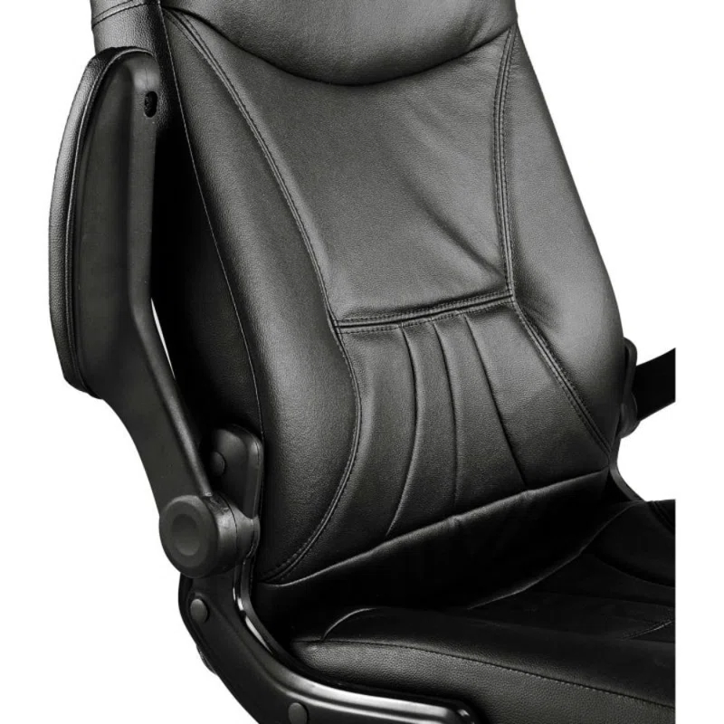 Interion Genuine Leather Executive Chair