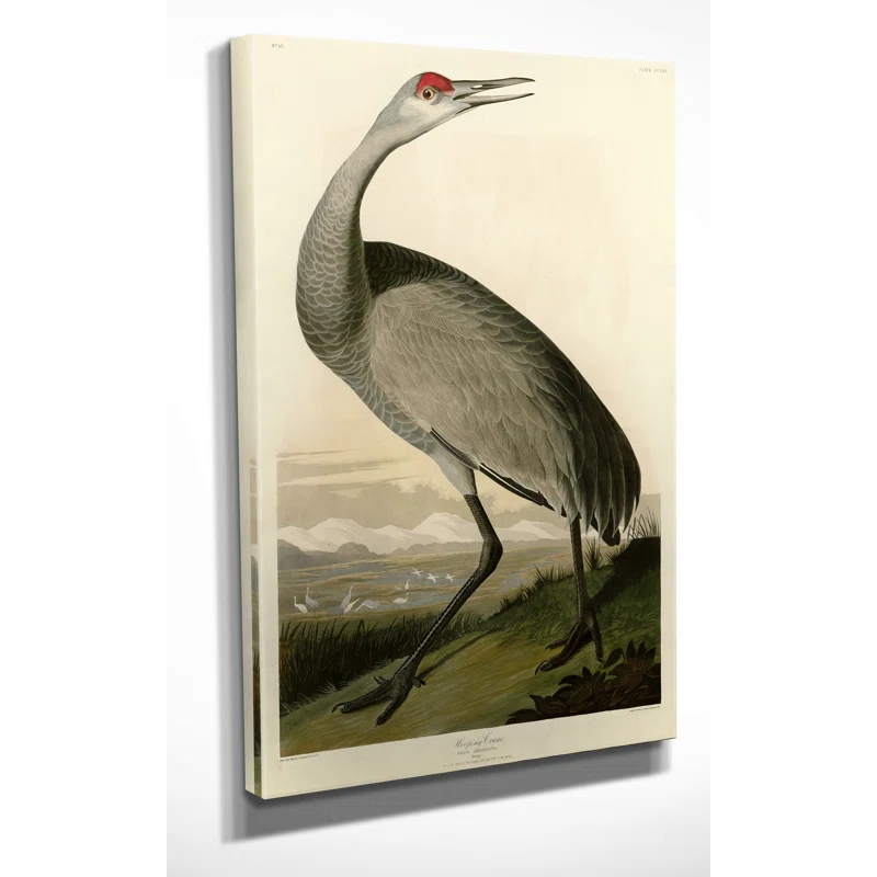 Vault W Artwork " Whooping Crane " by John Audubon