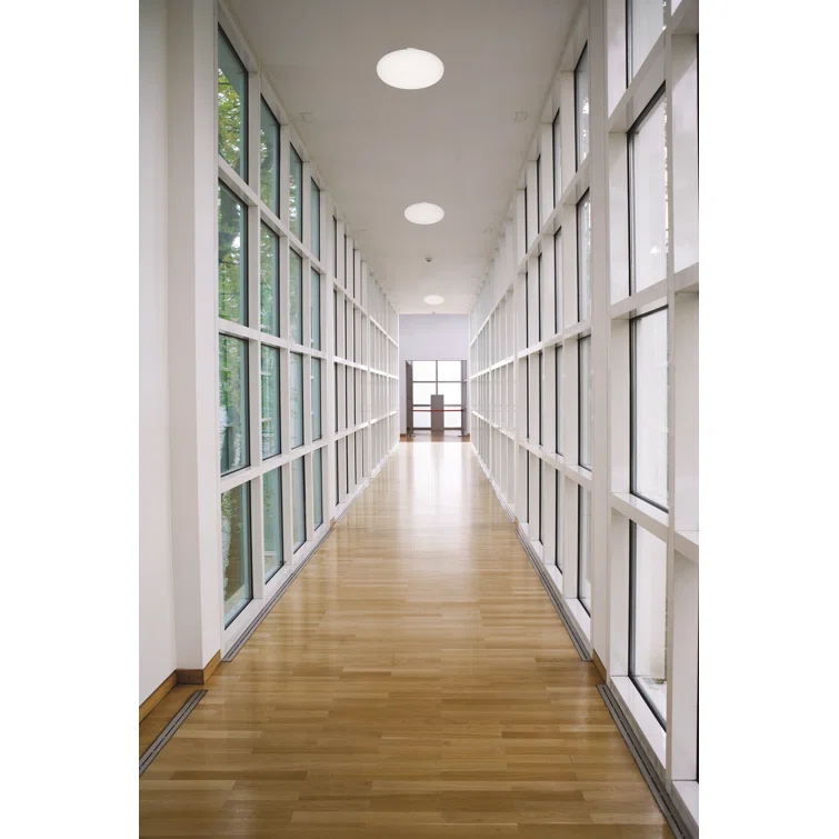 Lithonia Lighting Litepuff Acrylic LED Flush Mount