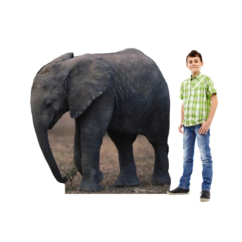 Advanced Graphics Animals 55'' Animals Cardboard Standup