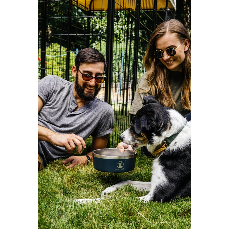 Lucky Dog INDULGE 8 Double Wall Stainless Steel Dog Bowl & Reviews | Wayfair
