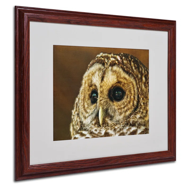 Trademark Fine Art Modern & Contemporary
