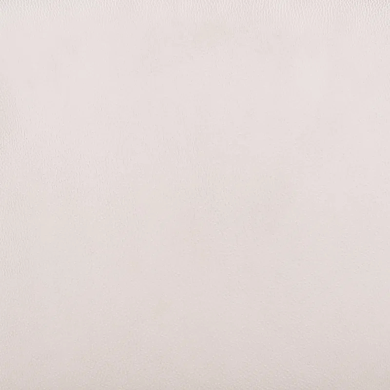 Contemporary Double-layered Curved Back Side Chair