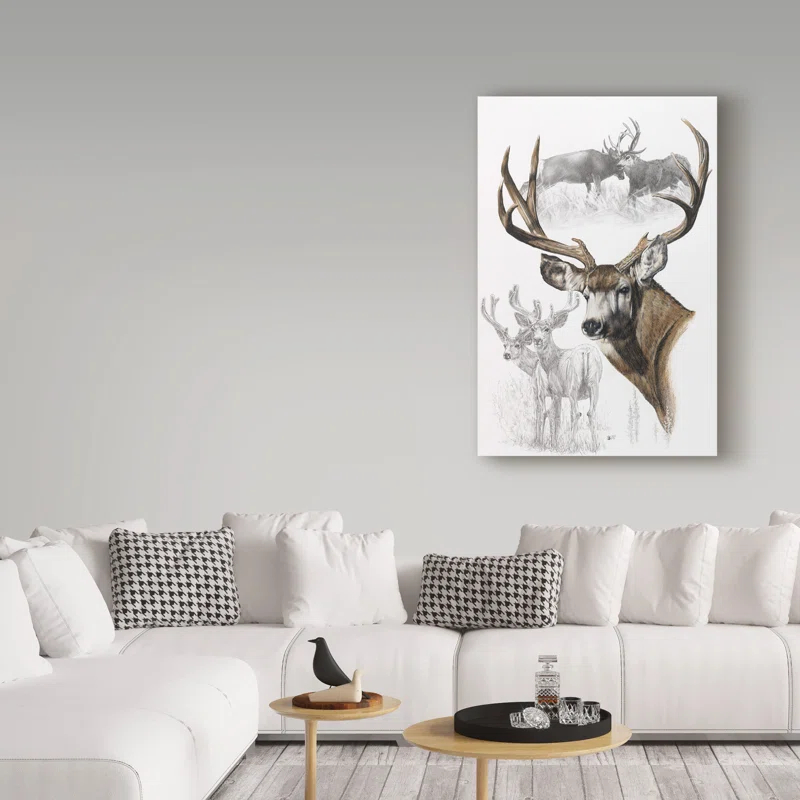 Trademark Fine Art Barbara Keith " Mule Deer " by Barbara Keith