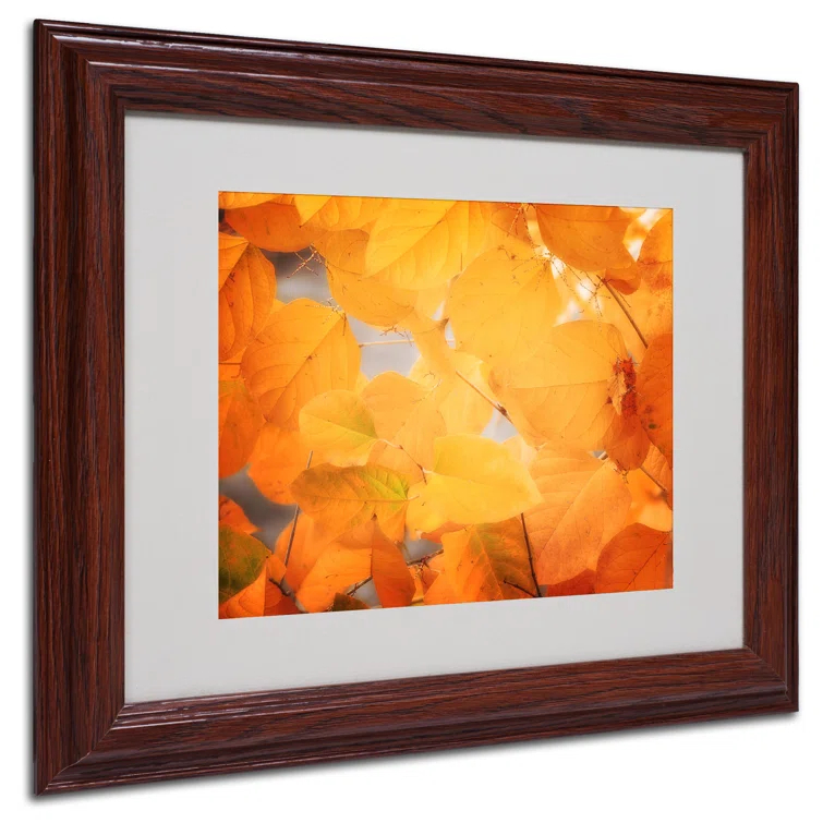 Trademark Fine Art " Seasonal Leaves " by Philippe Sainte-Laudy