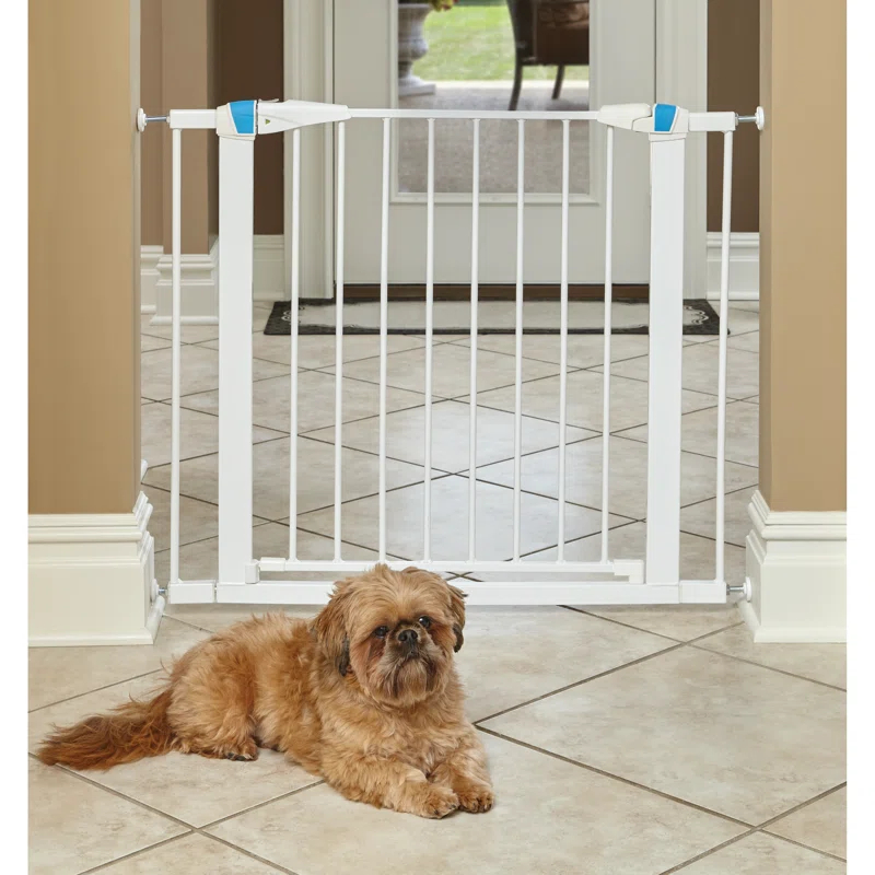 Midwest Homes For Pets MidWest Homes for Pets Gate/ Walk-thru Steel Pet Gate