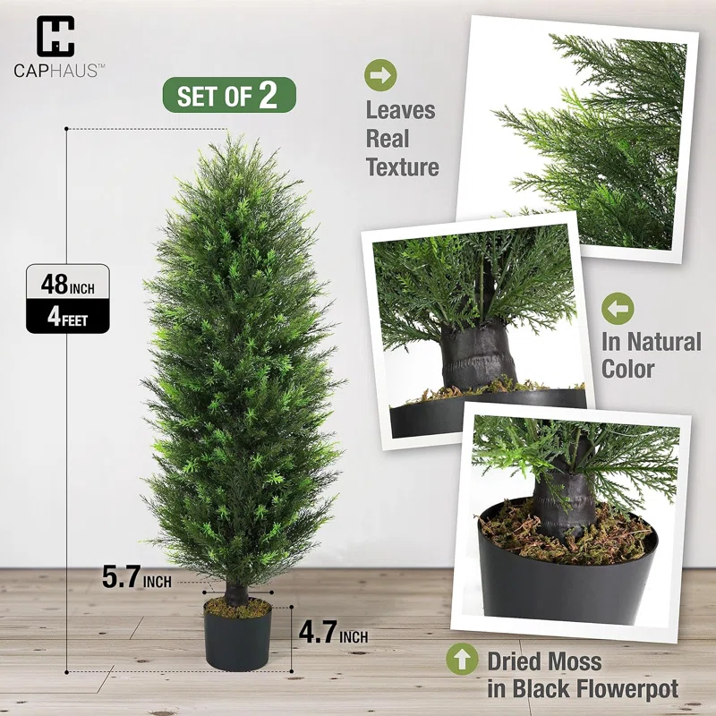 CAPHAUS CAPHAUS Artificial Cedar Tree Pair, UV Resistant Boxwood Topiary w/ Dried Moss, 3 / 4 / 5 Feet