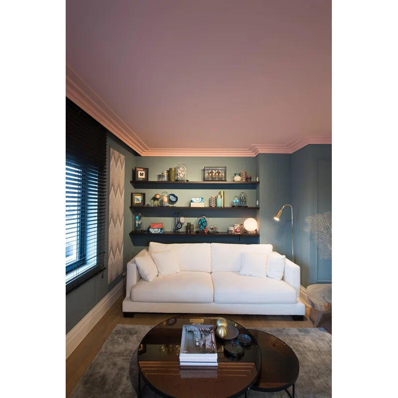 Orac Decor 1.1875'' H x 78'' W x 0.38'' D Plastic Chair Rail