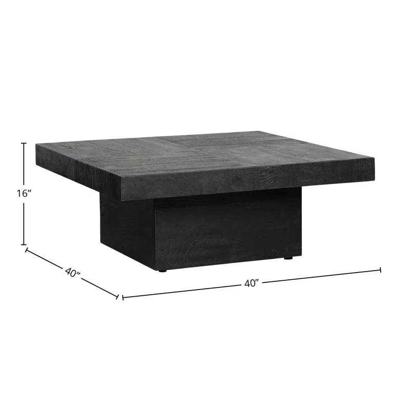 Dovetail Furniture Sereno 40" Wide Mango Wood Coffee Table, Black