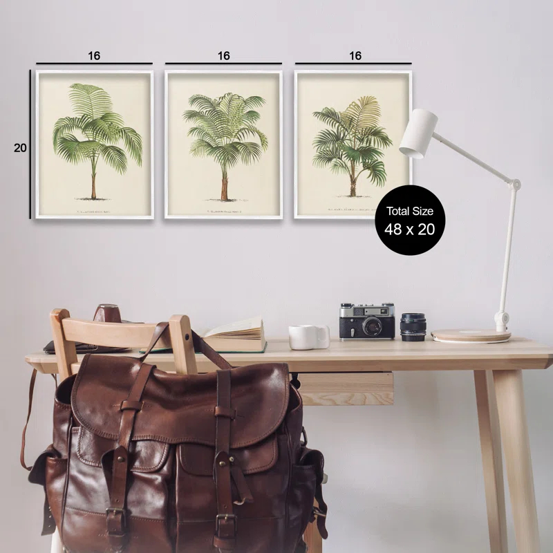 Stupell Industries Les Palmiers Botanical Trio 3 Piece Giclee Art Set by World Art Group