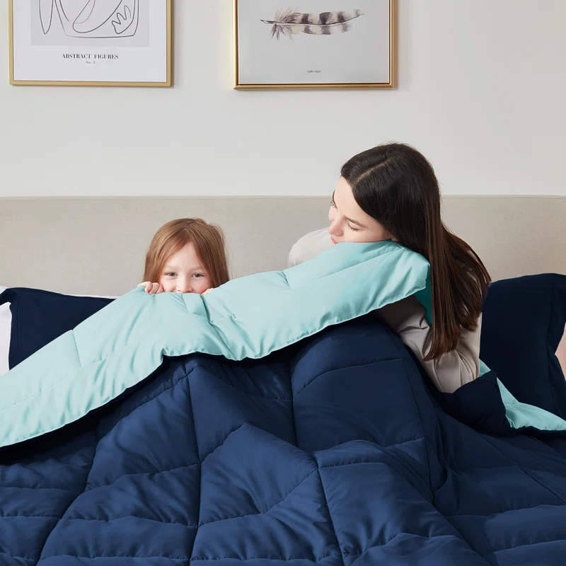 Nestl Nestl All Season Solid Lightweight Down Alternative Reversible Comforter
