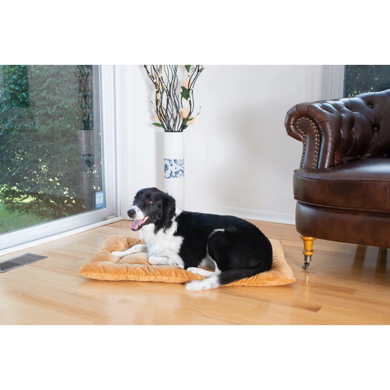 Armarkat Velvet Pet Bed