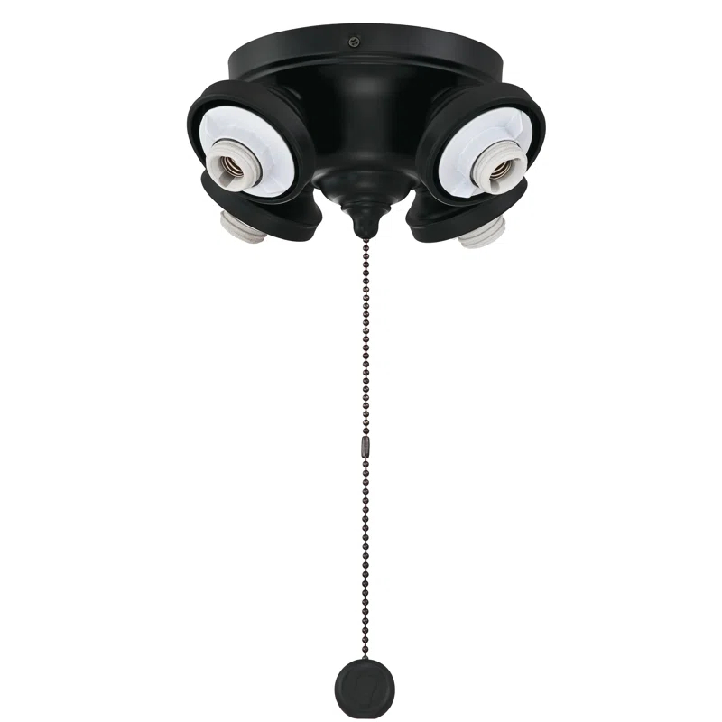 Fanimation Palisade 4-Light LED Ceiling Fan Light Fitter
