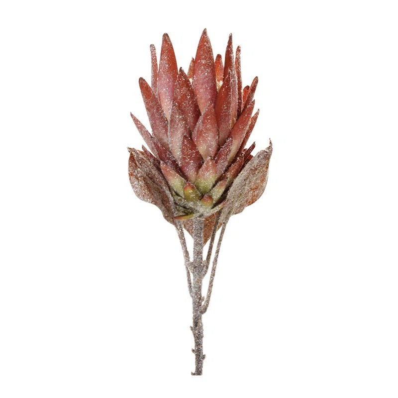 Protea Flower Stem (Set of 2) (Set of 2)