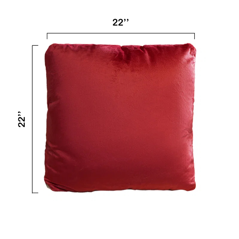 Throw Pillow (Set of 2)