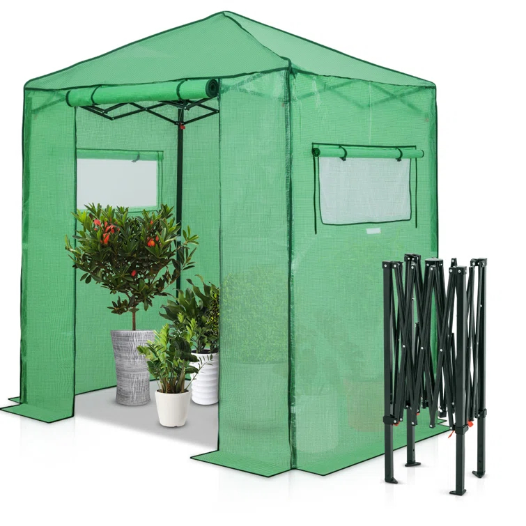 EAGLE PEAK Pop Up Greenhouses 6 ft x 4 ft Greenhouse