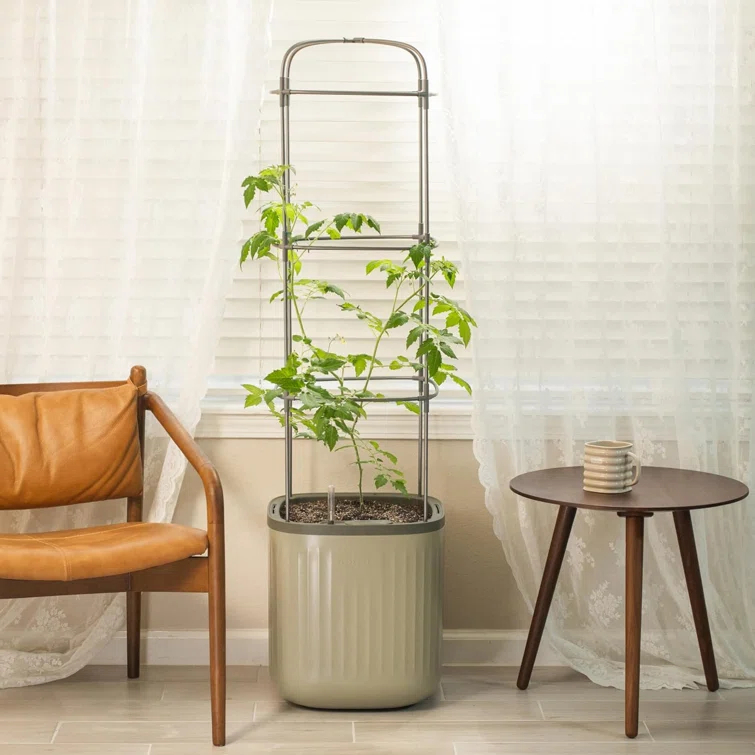 Vego Garden Mini Tomato Plastic Outdoor Pot Planter with Trellis