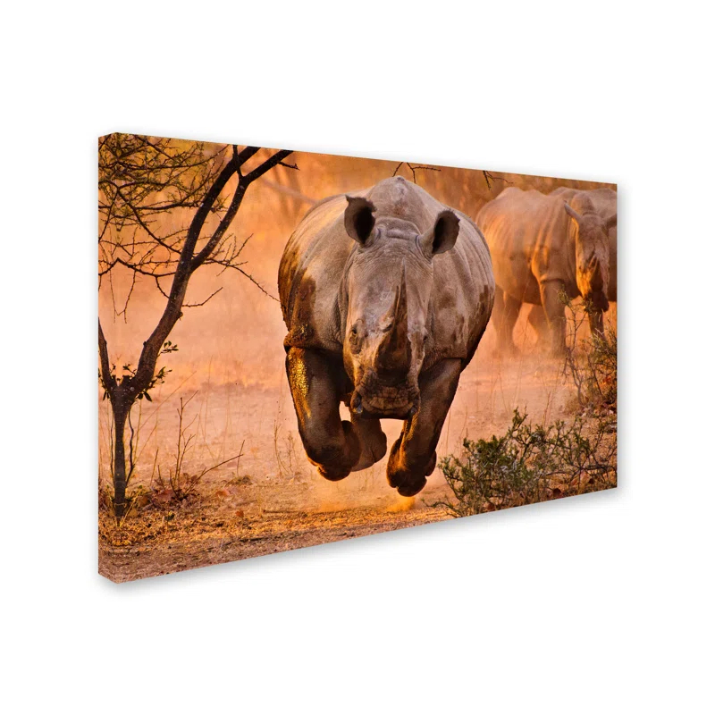 Trademark Fine Art " Rhino Learning To Fly " by Justus Vermaak
