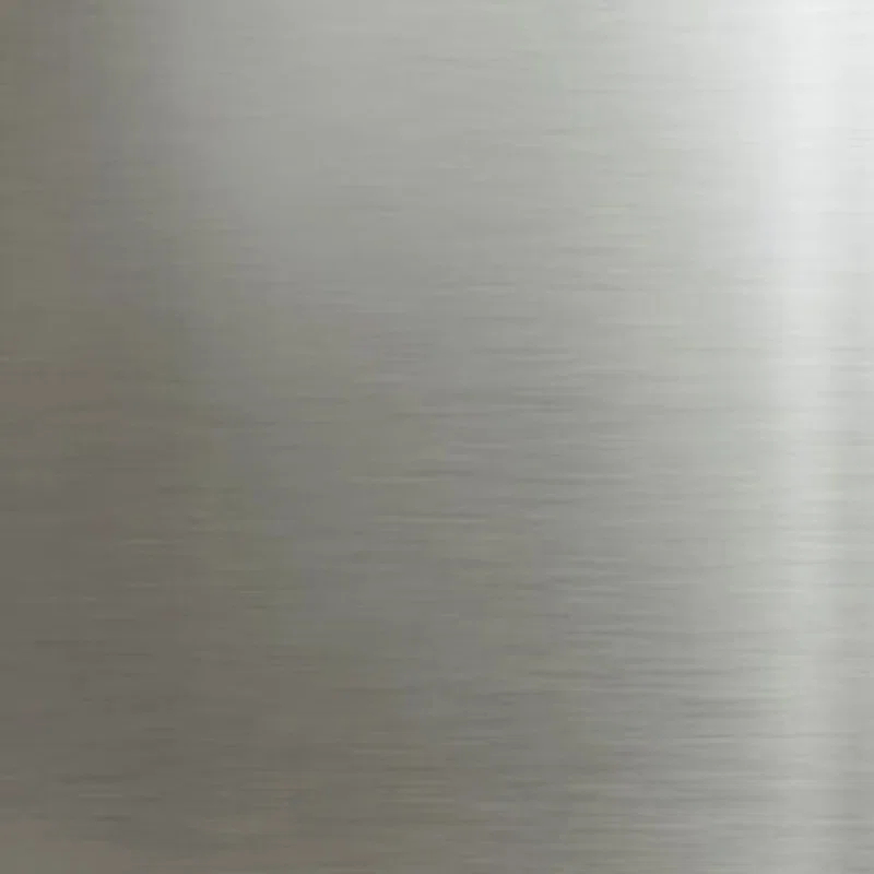 Transolid Elizabeth 36-in W x 76-in H Hinged Shower Door with Clear Glass