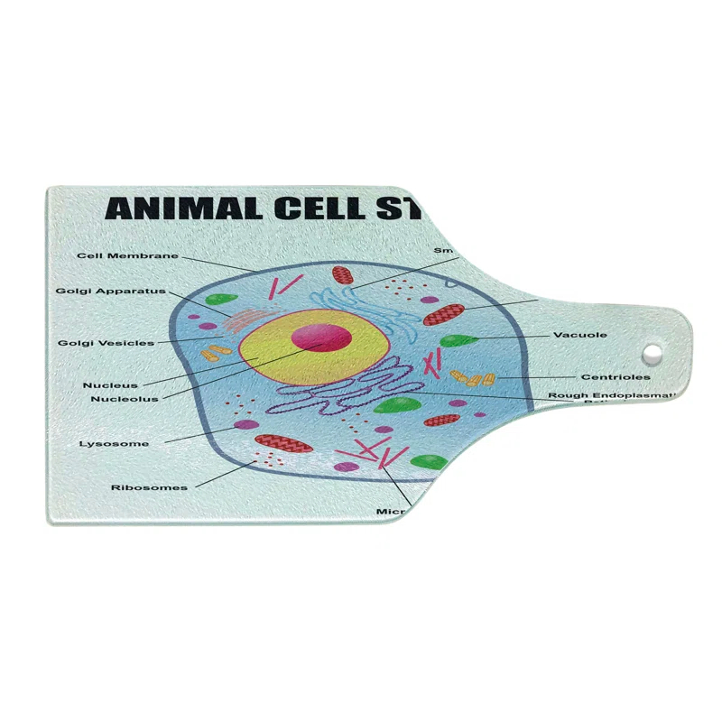 Ambesonne Science Tempered Glass Cutting Board Animal Cell Study Multicolor | Wayfair
