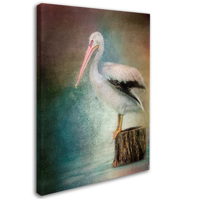 Trademark Fine Art Jai Johnson " Perched Pelican " by Jai Johnson