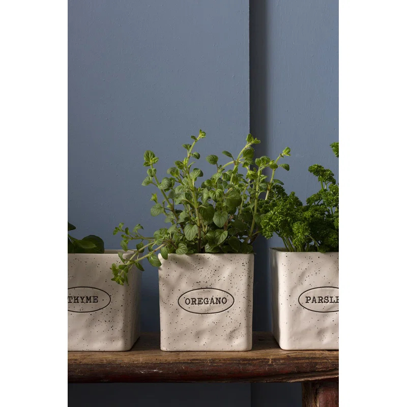 Aroma Handmade Ceramic Planter Box